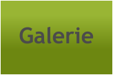 Galerie